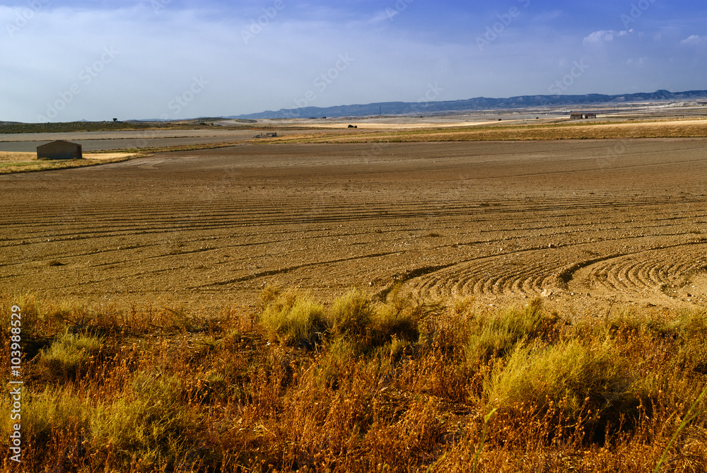 Desierto de los Monegros (Aragon)