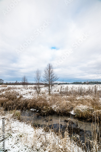 Landscape of fields by the river during thaws at early spring