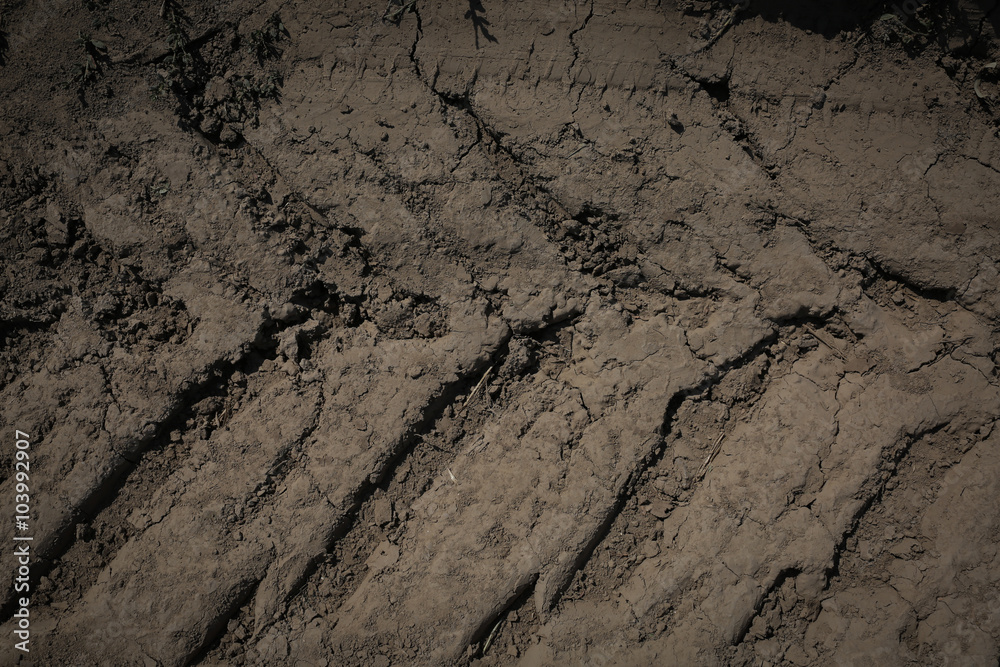 Tire tracks on cracked mud Tire tracks on cracked mud