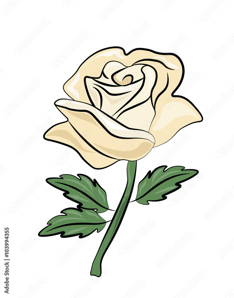 Rose abstract texture background. Vector Rose abstract texture background. Vector