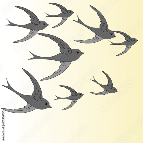 Swallows flying in the sky. Vector
