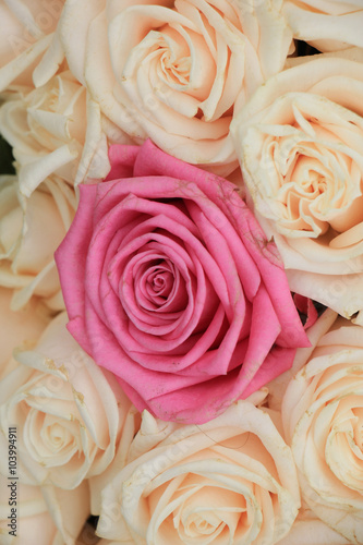 Fototapeta Naklejka Na Ścianę i Meble -  Wedding roses