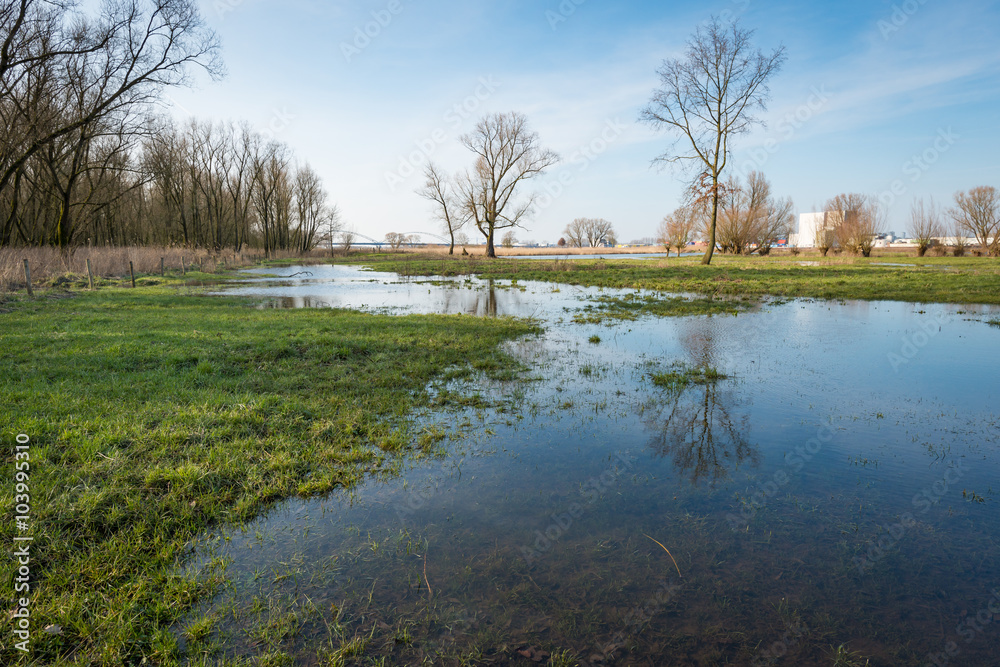 Fototapeta premium Flooded floodplain next to a Dutch river