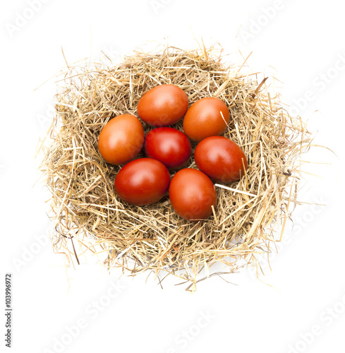 Osternest mit Natureiern