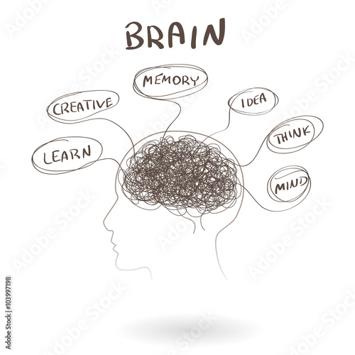 Brain, a thinking human concept. Vector illustration