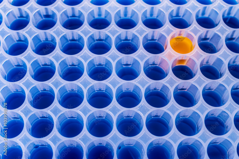 microplate with color samples