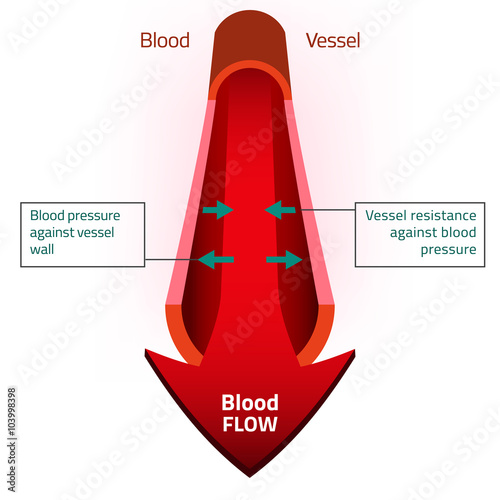 Blood Vector Image