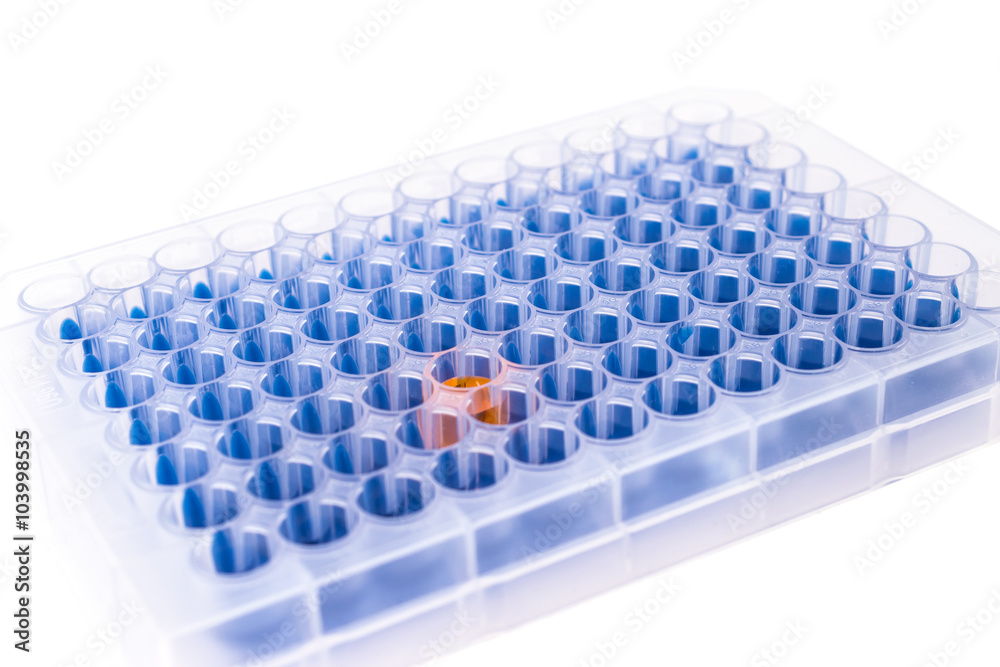 Obraz premium microplate with color samples