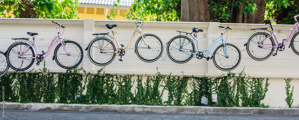 Fototapeta premium Bicycle hanging on the wall with ivy background.