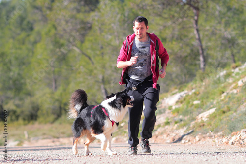 Bild auf Leinwand Australian shepherd canicross