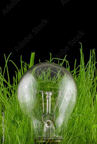 light bulb in grass on a black background