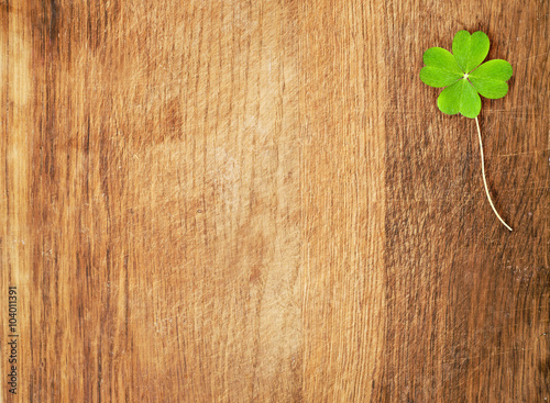 clover on wood desk photo