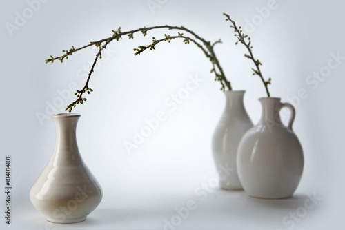 three white ceramic vases with spring branches on a light ground