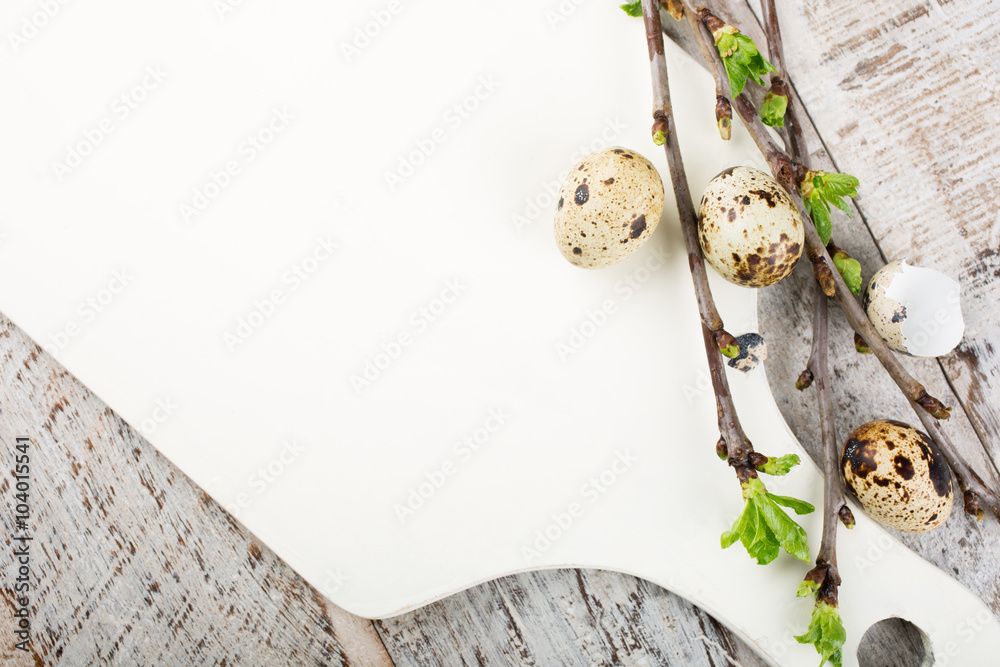 Quail eggs, green branches and white cutting board Quail eggs, green branches and white cutting board