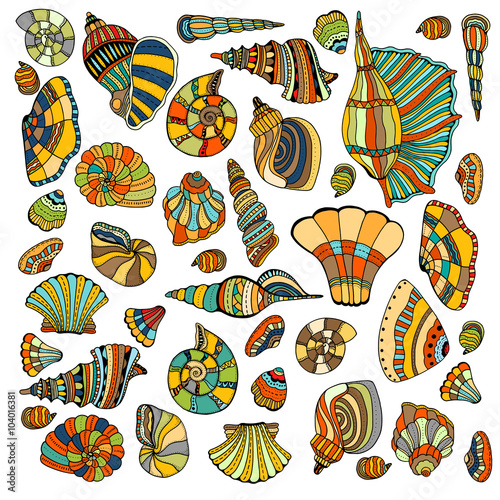 Seashell set collection