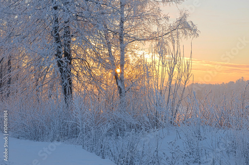 Frosty winter day