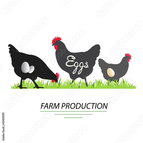Illustration of chicken. Eggs farm production, vector.