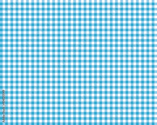 blue checkered picnic tablecloth
