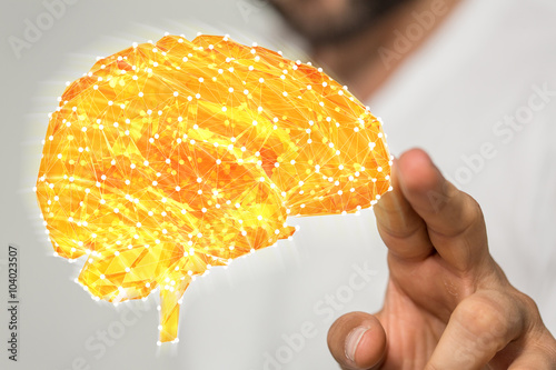 brain