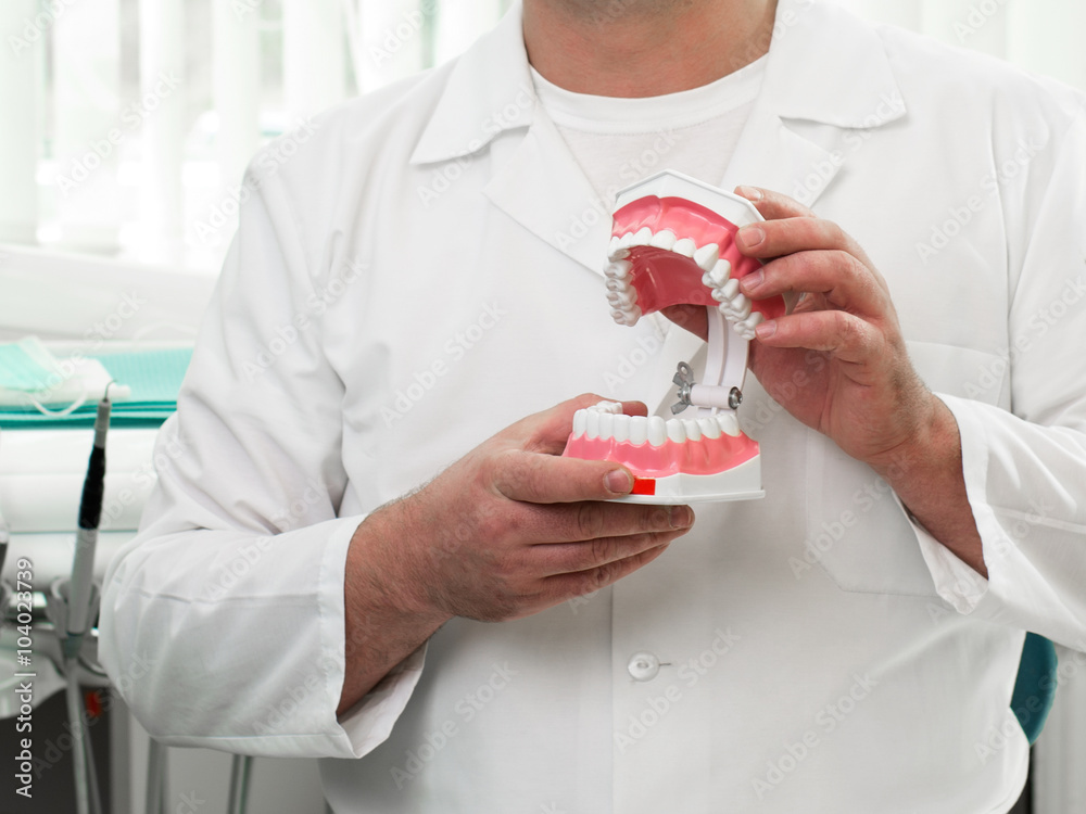 Man's hands are holding a model of human jaw Man's hands are holding a model of human jaw