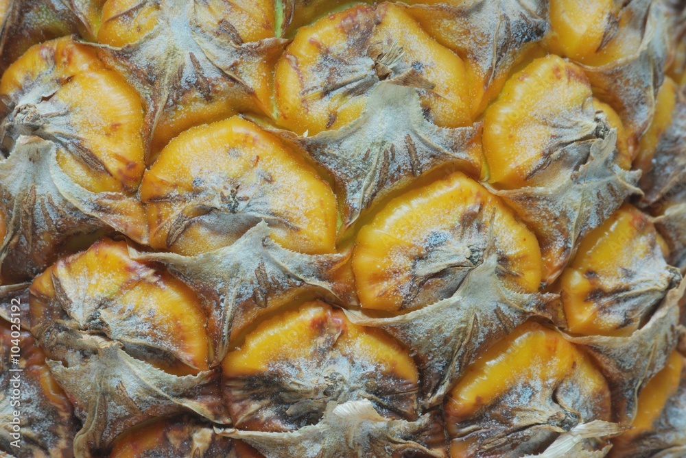 pineapple details texture pineapple details texture