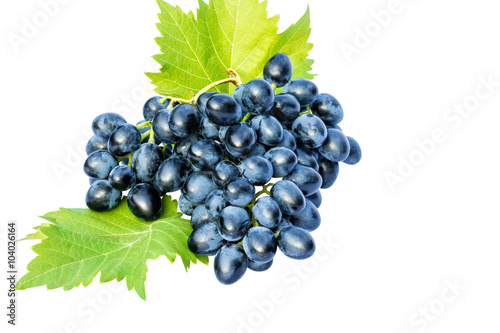 Brush of grapes on a white background