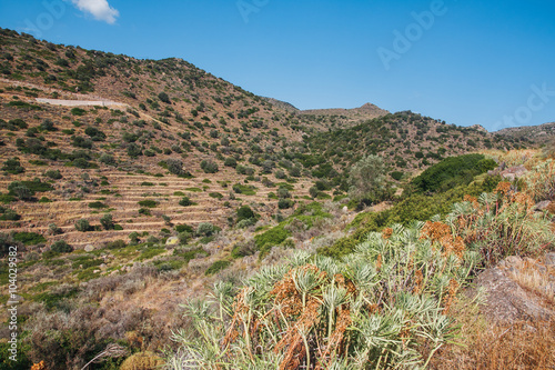 Foto Aegina Island