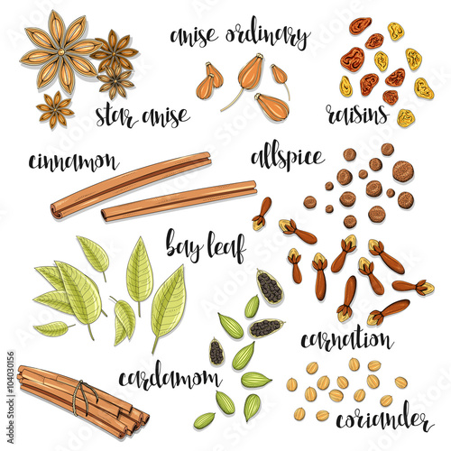 Set of spices in the sketch . Anise and cardamom, cinnamon and allspice , cloves and raisins , coriander and bay leaf . Seasoning for dishes. Cooking spices. Eastern cuisine. European cuisine