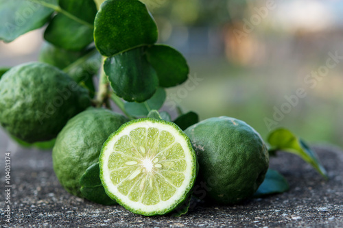 Bergamot