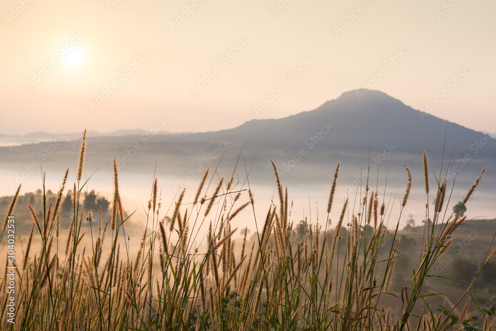 grass and mountains under mist in the morning grass and mountains under mist in the morning