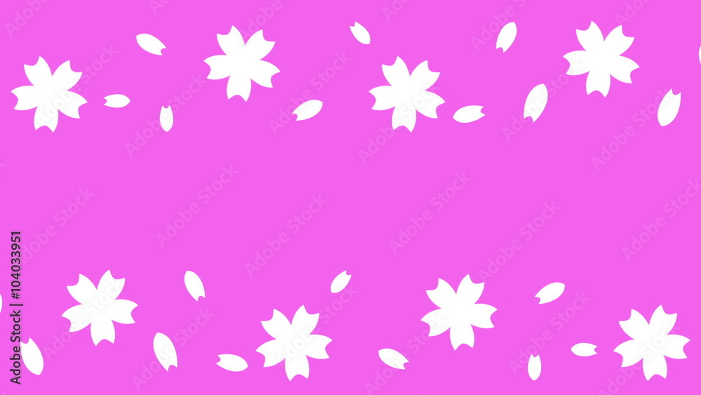 さくらの花びらスクロール ループ cherry blossom scroll loop さくらの花びらスクロール ループ cherry blossom scroll loop