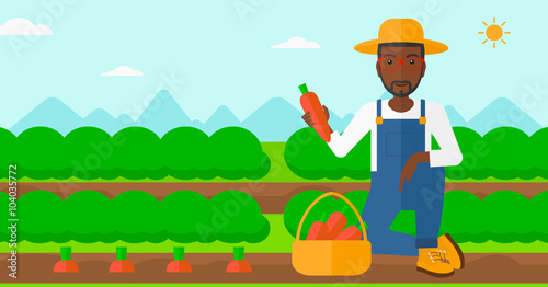 Farmer collecting carrots. © Visual Generation