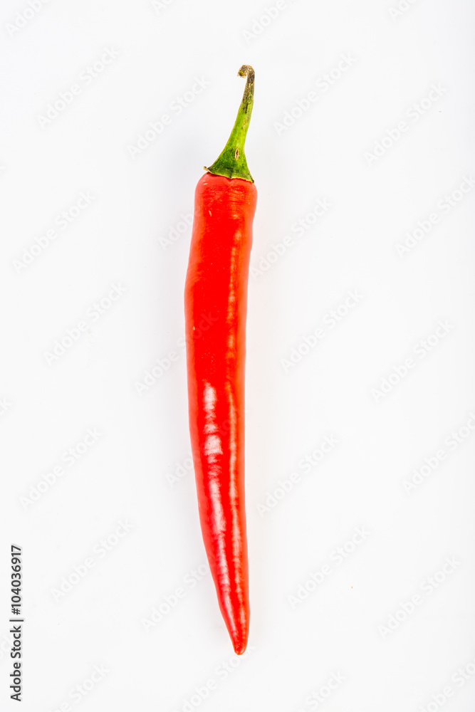 chilli on white background chilli on white background