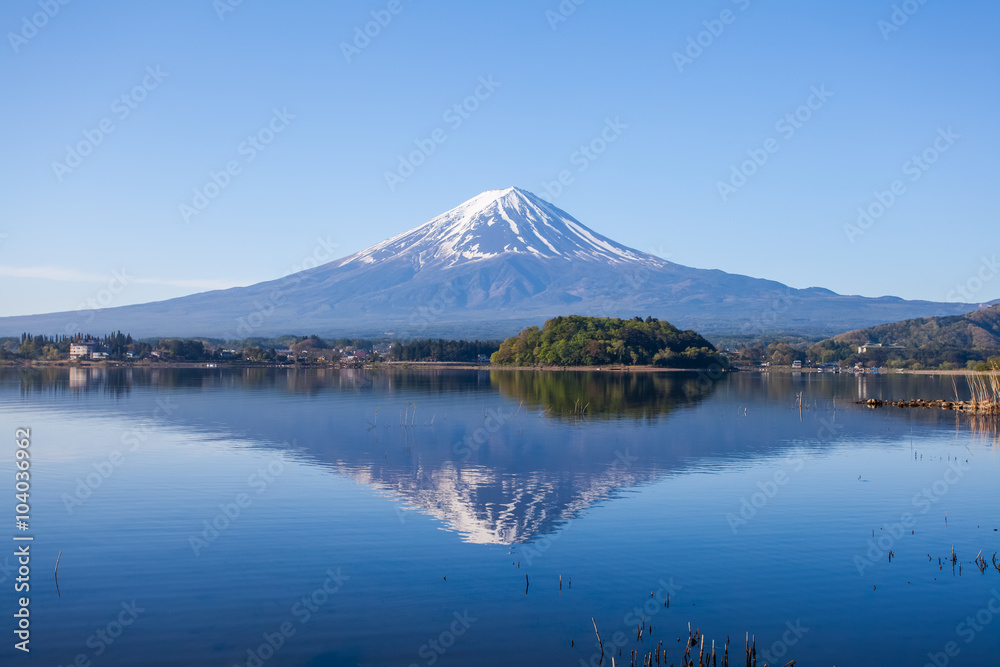Panorama view of Mountain Fuji with reflection at Lake Kawaguchiko in spring season