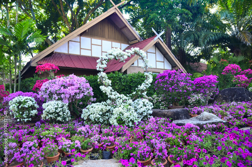 Nong Nooch Tropical Botanical Garden in Pattaya, Thailand