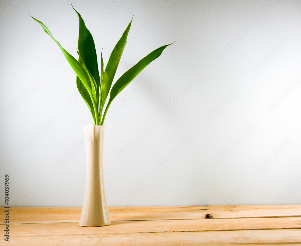 Naklejka premium Lucky bamboo (Dracaena sanderiana) in a crean vase on wood backg
