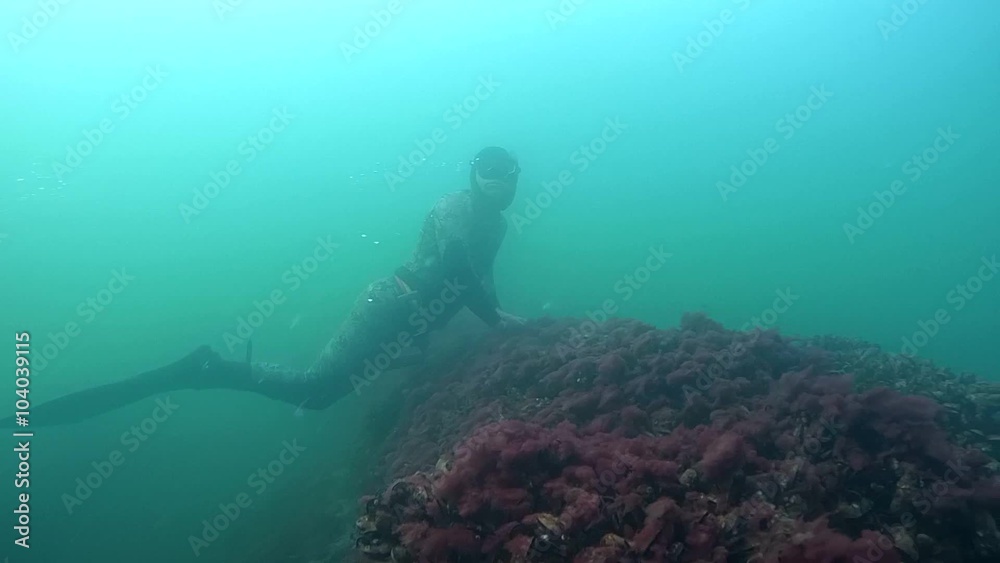 Freediver in monofin swims over the deck of the sunken ship then sails to the water surface.
