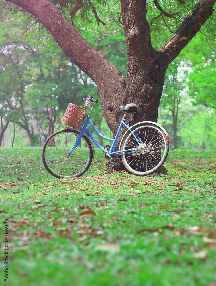 Vintage bicycle waiting near tree in the park