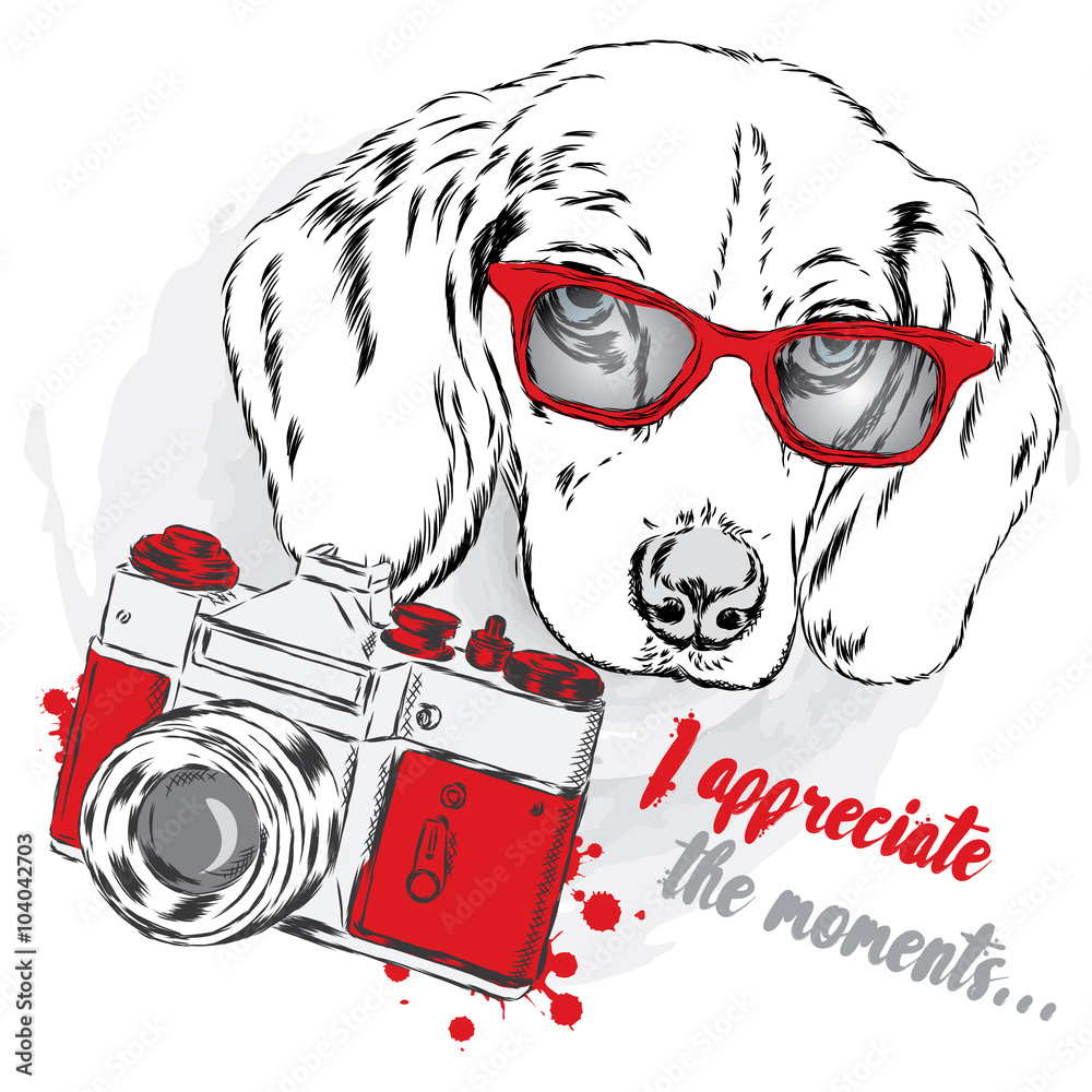 Obraz Cool dog with glasses and a camera. Dog vector. Cute puppy.