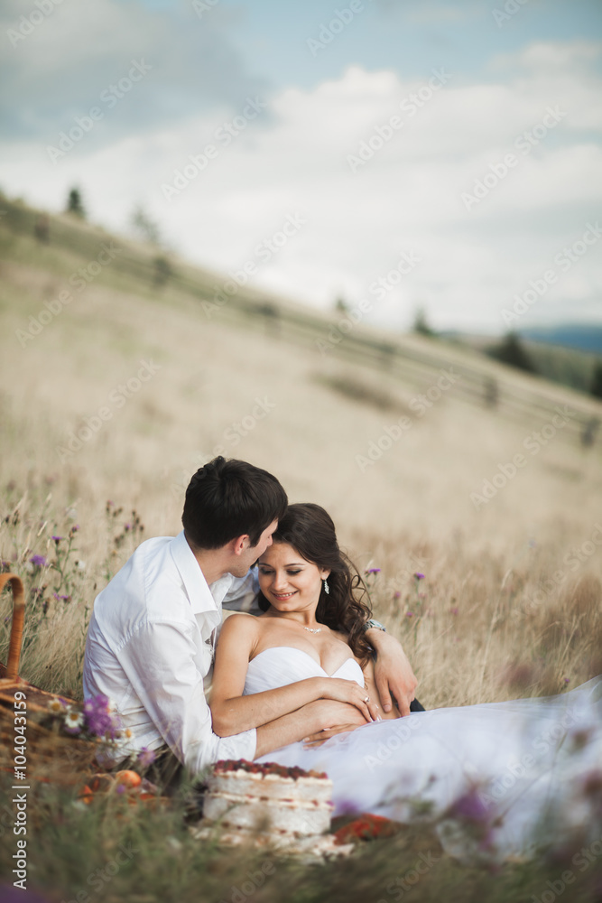 Beautiful wedding couple at picnic with fruit and cake on a background of mountains Beautiful wedding couple at picnic with fruit and cake on a background of mountains