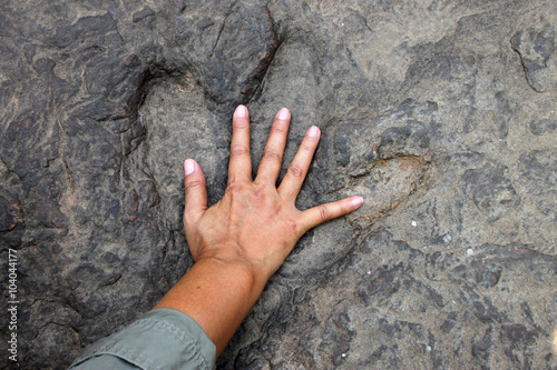 dinosaur footprint