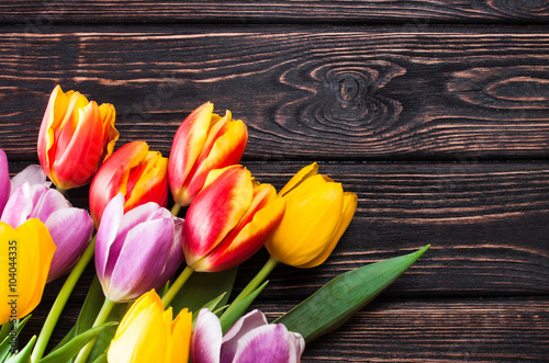 tulip on wood background