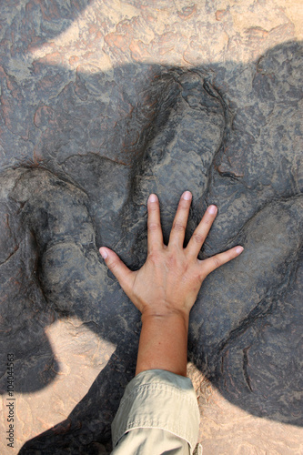 dinosaur footprint