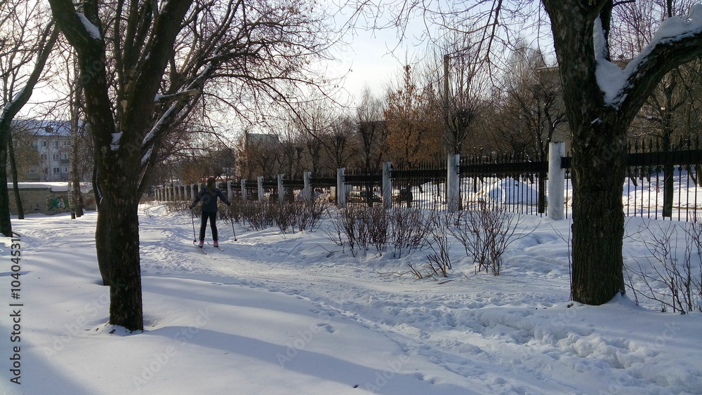 Park in winter day
