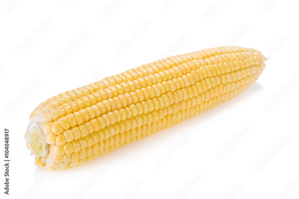 Corn on white background Corn on white background