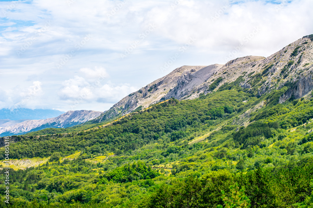 Photograph of a colorful mountainside with cloudy skies and a green forrest in the valley