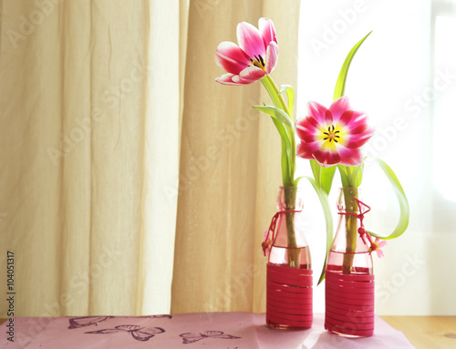 Fototapeta Naklejka Na Ścianę i Meble -  Tulpen 