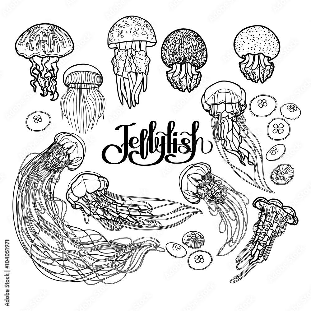 Naklejka premium Jellyfish in line art style