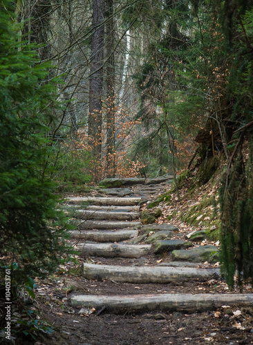 waldweg