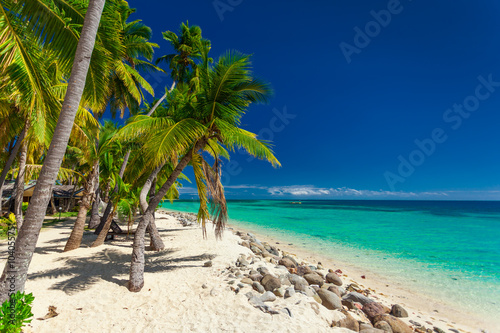 Beach with coconut palm trees and clear lagoon on Fiji Islands